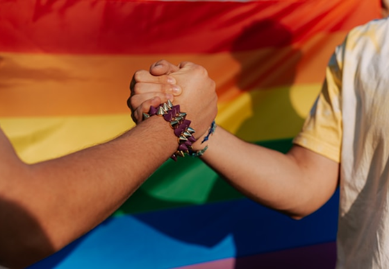 Conviértete en aliado de Pandero